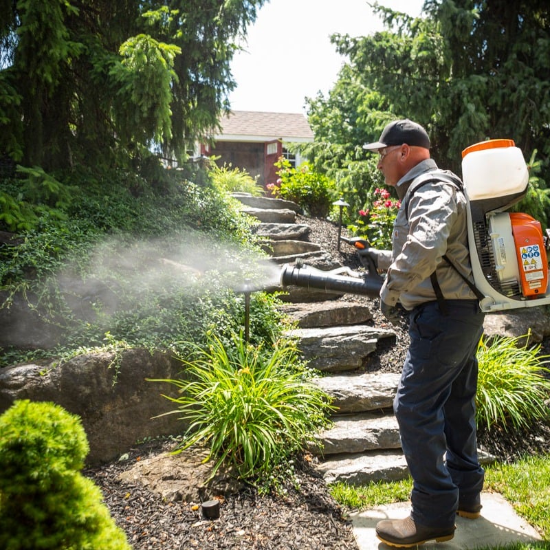 pest control technician spraying mosquito barrier spray to a landscape bed