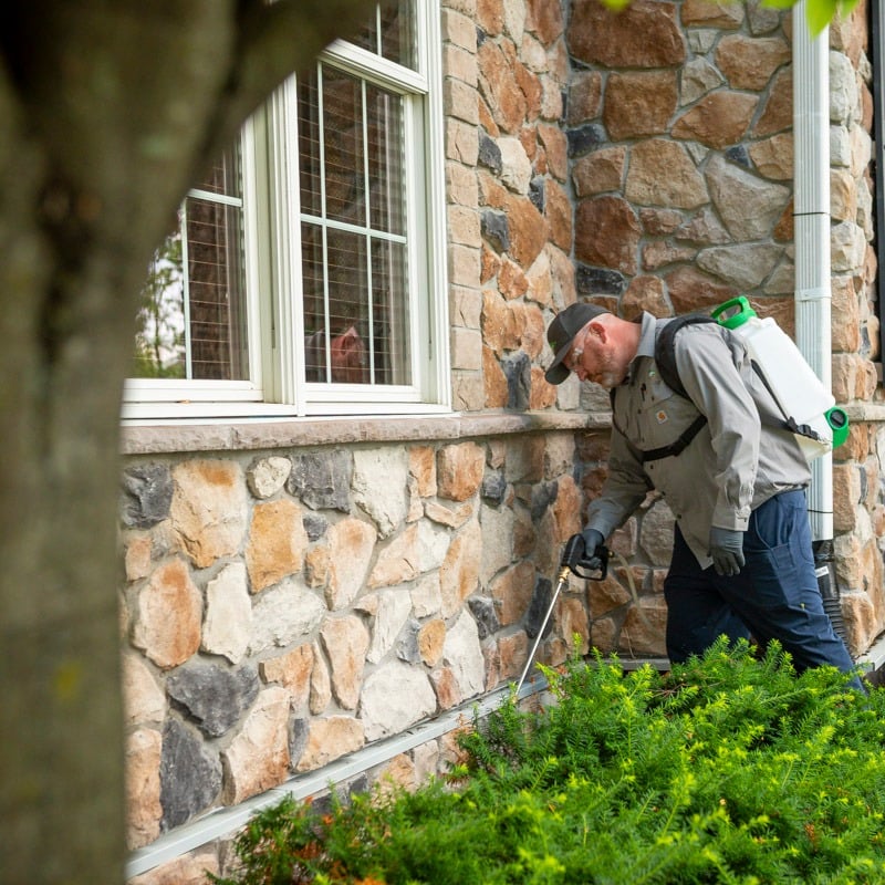 pest control technician spraying outside home in Easton, PA