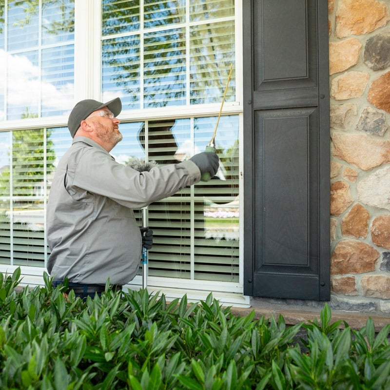 technician commercial pest control stinging insect wasp dusting