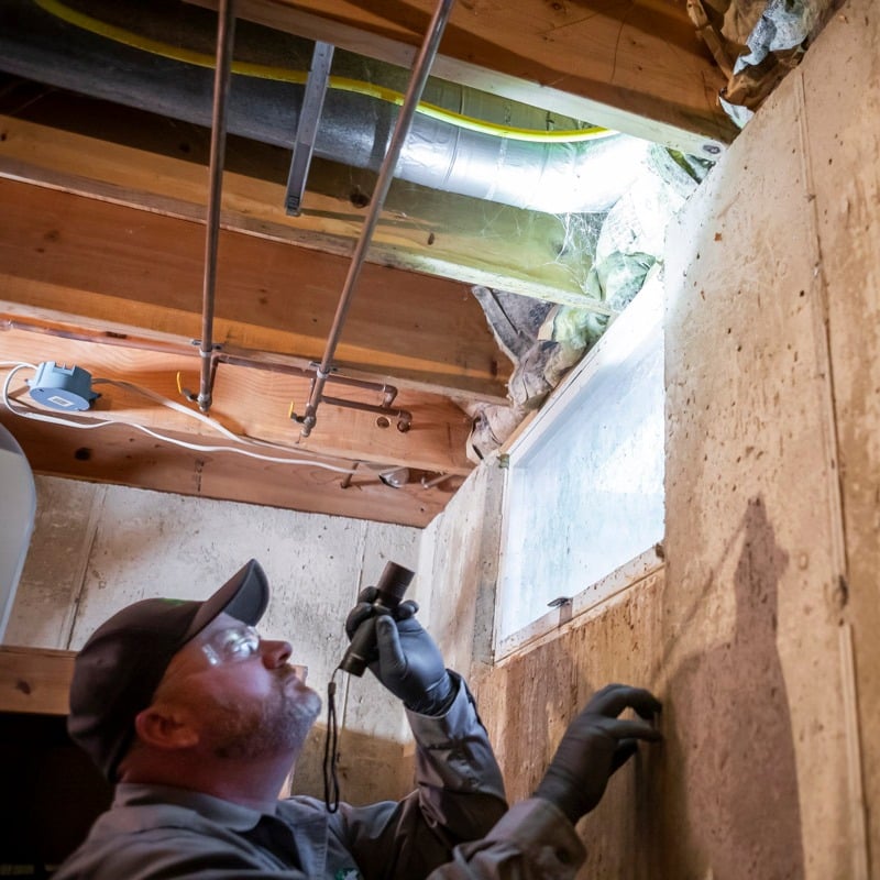 technician interior pest control treatment duster basement 11
