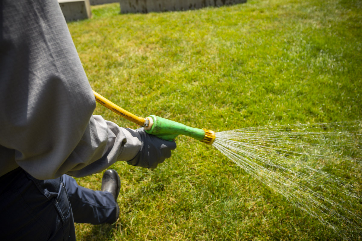 lawn technician spraying lawn