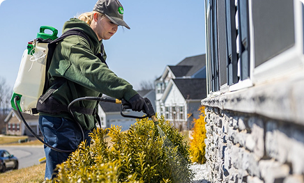 Indoor & Outdoor Pest Control for A Safe Home