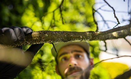 Joshua Homepage New Sections 01