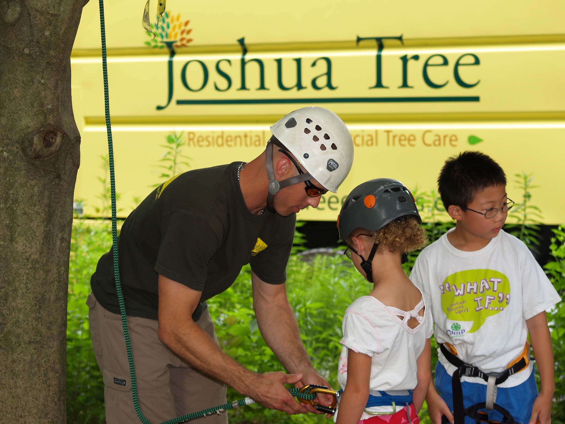 KidsClimbingTrees