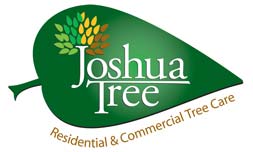 Joshua Tree