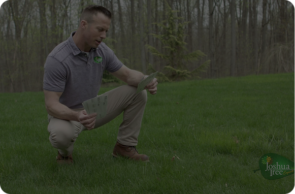 The Best Ways to Get a Green, Healthy Lawn