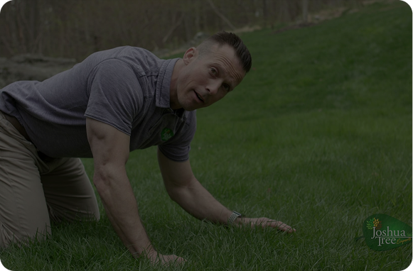 Will Aeration and Overseeding Regrow My Lawn?