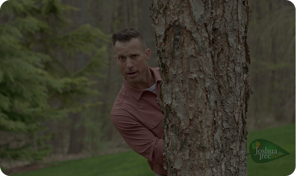 How to Find the Best Tree Service