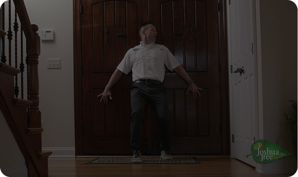 How to Keep Pests Out of Your Home