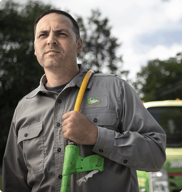 lawn care spraying lawn care spraying
