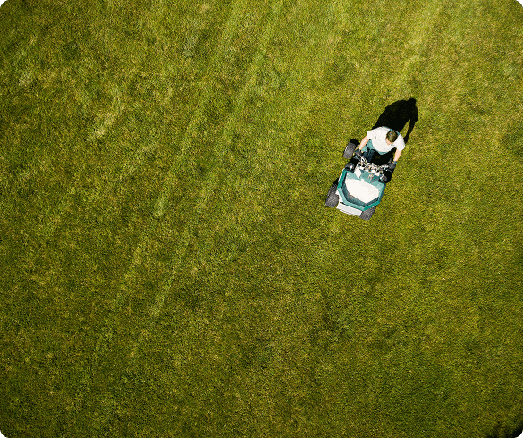 lawn limestone treatment (2)