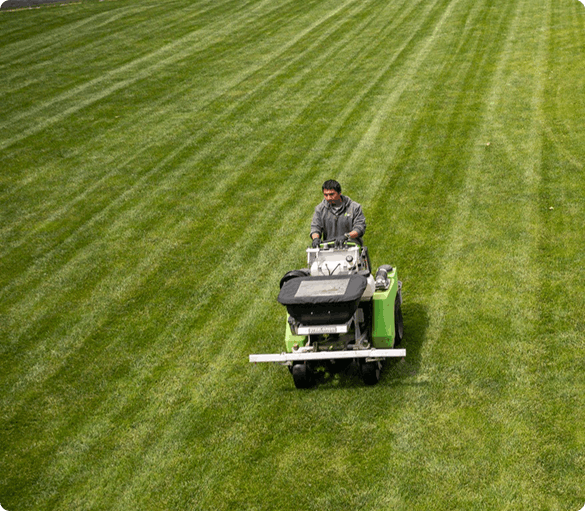 lawn soil amendment 3 lawn soil amendment 3