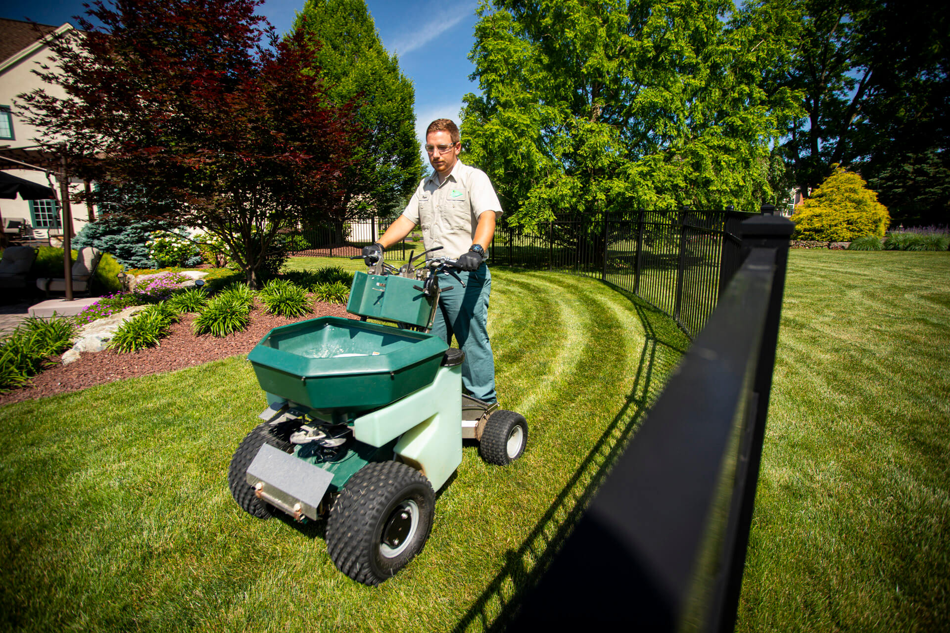 Is Your Grass Sunburnt? How to Treat Sunburnt Grass