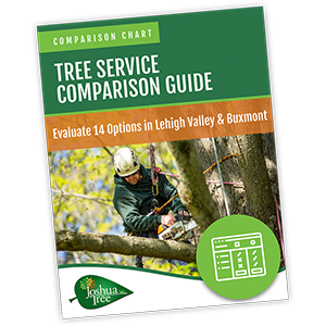 tree comparison guide