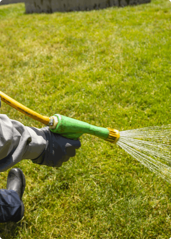 weed control weed control